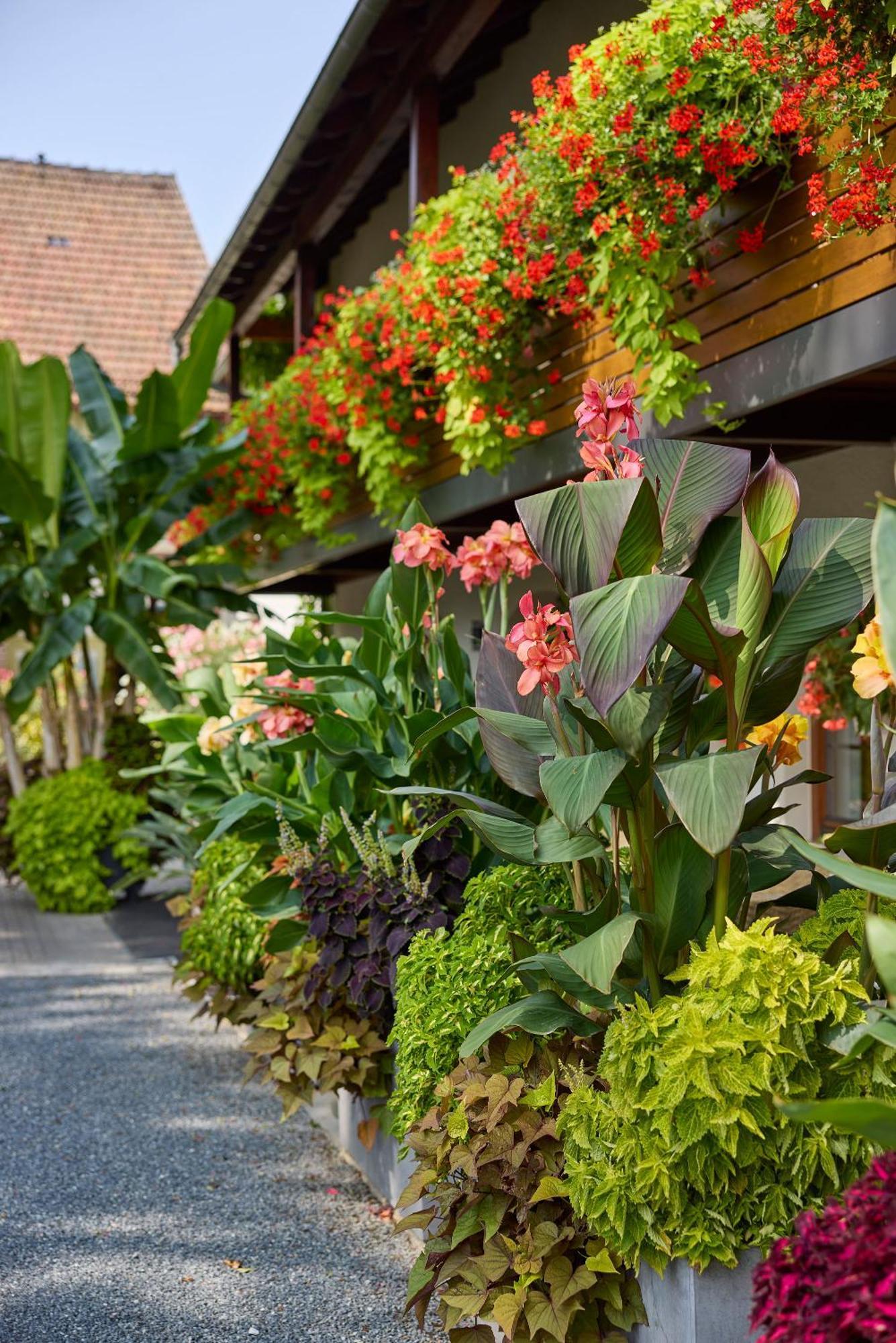 Hotel garni Sonnenhof Reichenberg  Eksteriør billede