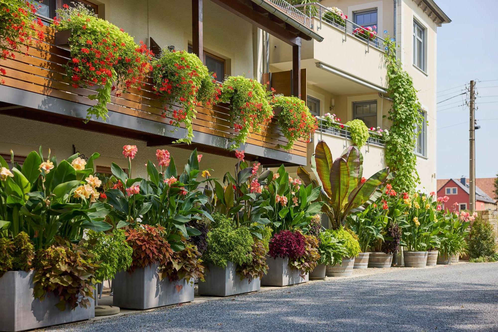 Hotel garni Sonnenhof Reichenberg  Eksteriør billede